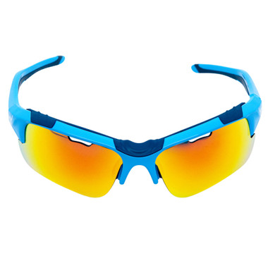 Viking Goggles